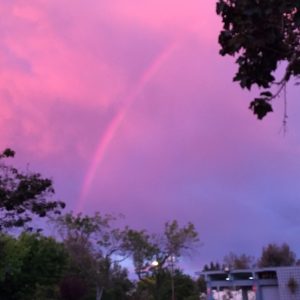 Pink Rainbows Appear in the United Kingdom